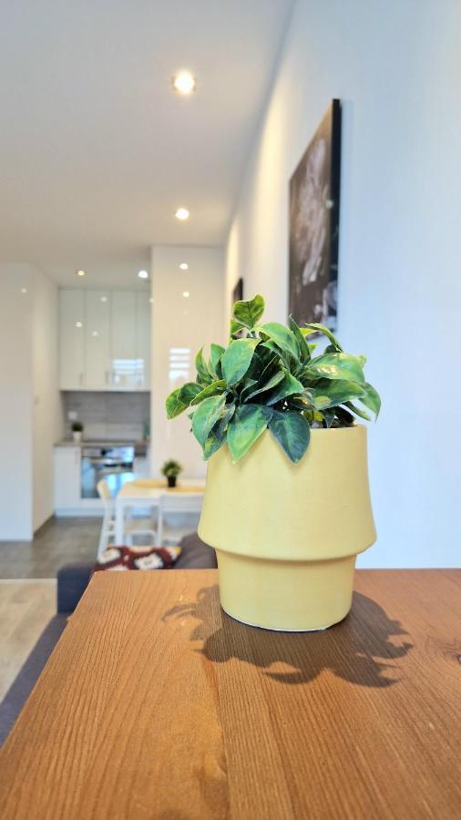 Apartament Czechowska Comfort Lublin Exteriér fotografie